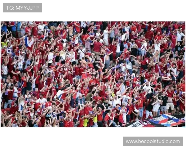 欧洲杯疫情影响