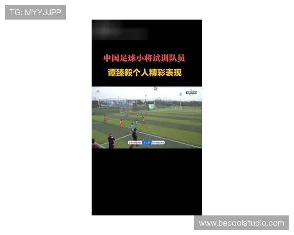 个人表现与团队成绩：赖斯的生涯评估